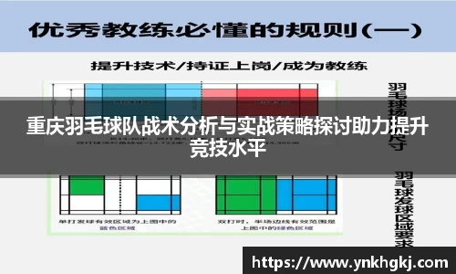 必一运动bsport体育