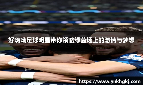 必一运动bsport体育