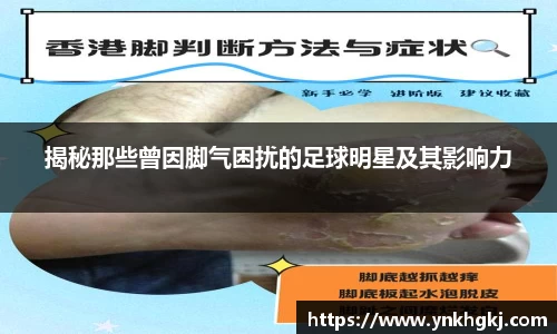 必一运动bsport体育