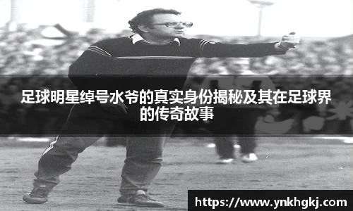 必一运动bsport体育